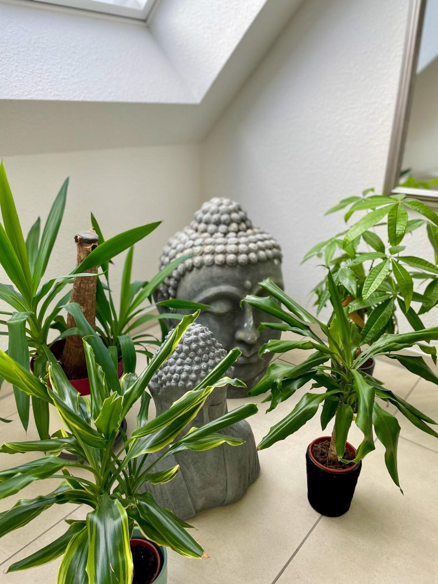 Ahaus: Stadtoase Mit Terrasse & Privater Garage エクステリア 写真